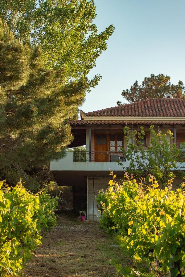 Anastasia Apartments Koróni Dış mekan fotoğraf